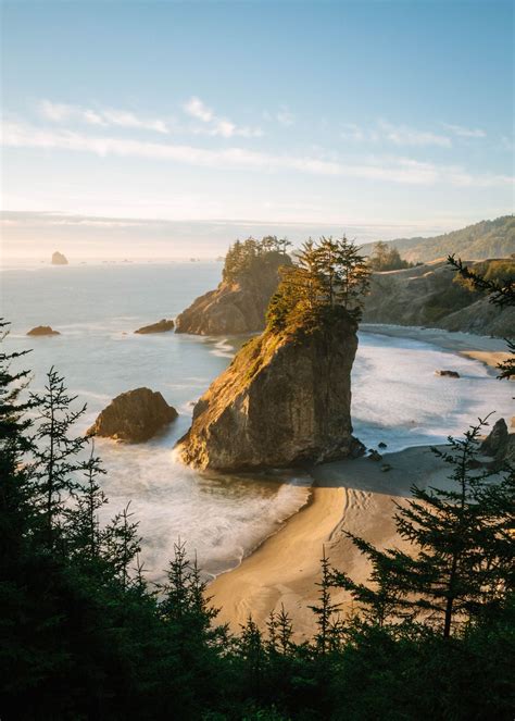 Samuel Boardman State Park, Oregon, US. photo by Maximilian .